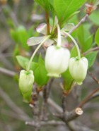 RIMG0091