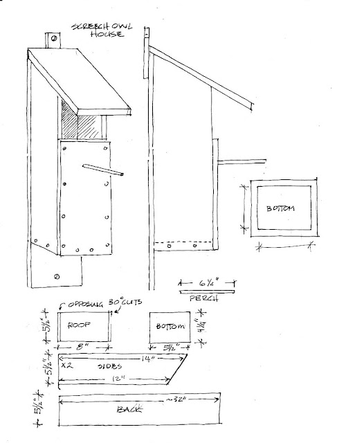 Simple Bird House Designs