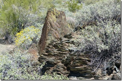 13-P1010176