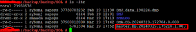 The dump configurations SMADB and SMALOG are created. The target directories for storing dumps are specified. Compression = 101 is used for the dumps, and the header option is specified.