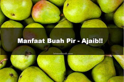 manfaat buah pir