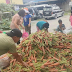 Isang Magsasaka sa Benguet, Ipinagbebenta ang Isang Truck na Carrots sa Halagang P10 Kada Kilo!