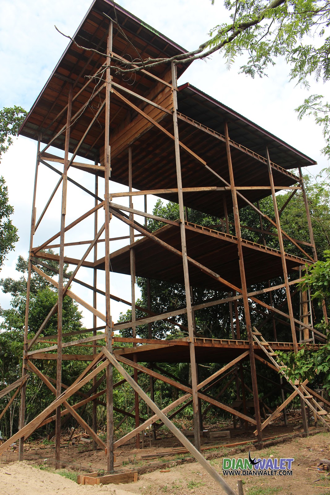 Rumah Sarang Burung Walet Dari Rangka Ulin DIAN WALET