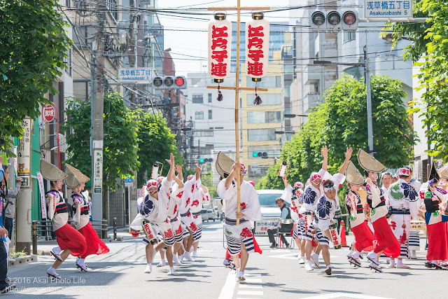 江戸っ子連、マロニエ祭りのスタート地点から粋に飛び出す男踊りの踊り手の写真