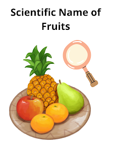 Scientific Name of Fruits : फलों के वैज्ञानिक नाम