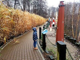 SeaPark Sarbsk - atrakcje dla dzieci w Łebie - atrakcje dla dzieci nad morzem - atrakcje dla dzieci nad Bałtykiem - podróże z dzieckiem - Morze Bałtyckie poza sezonem