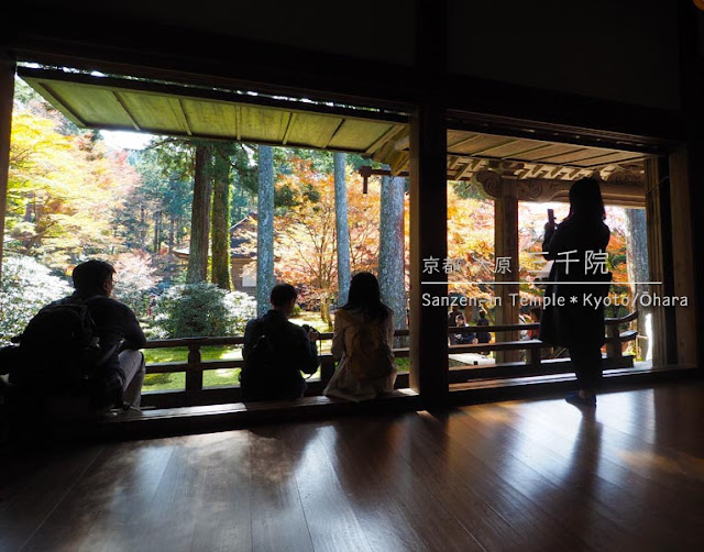 京都 大原 三千院の有清園