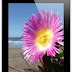 Daftar Harga Apple iPad Januari 2013 Lengkap
