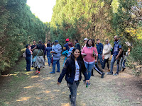 Team Building Fourways