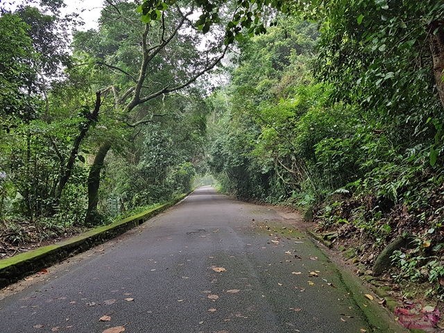 Melhores locais para caminhar no Rio de Janeiro