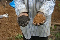 Handful of fertile soil (Photo credit: Victoria Frauisn) Click to Enlarge.