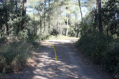 GR-7 BELLPRAT A JORBA (PONT DEL GANXO), camí de la remugosa al terme municipal d'Argençola i a tocar del Mas de Cal Biosca de la Nou