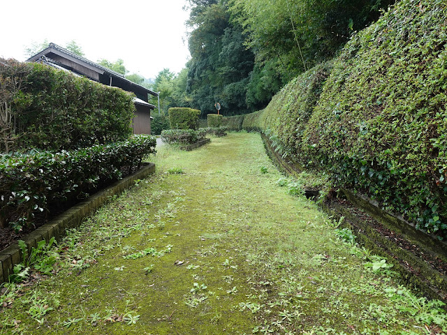 上淀廃寺跡の遊歩道