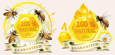 Honey & Bee Vector