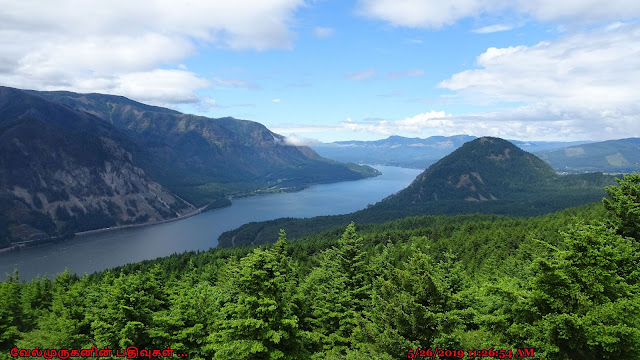 Columbia River Gorge National Scenic Area - Dog Mountain