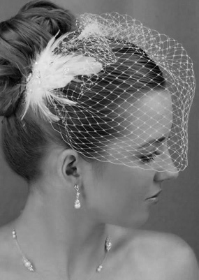 Cheap Birdcage Veil