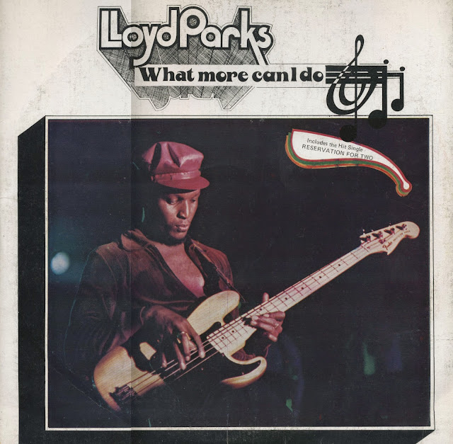 LLOYD PARKS - What More Can I Do