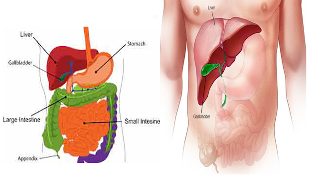 Liver problems