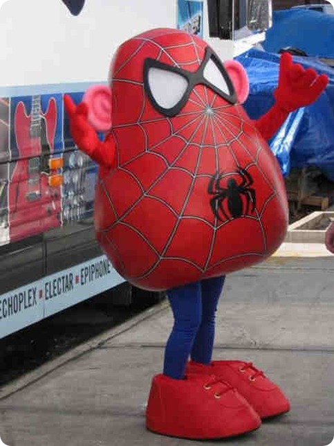 araña patata
