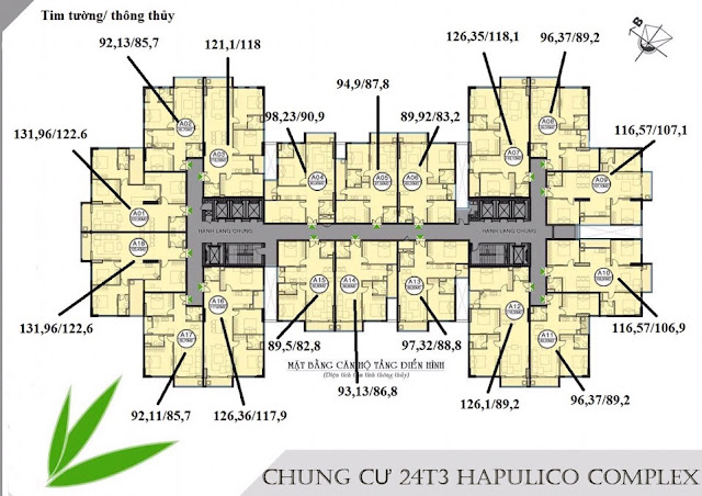 Mat bang can ho chung cu hapulico 24t3