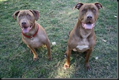 emmett-corbin