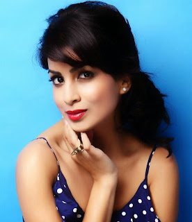 Pallavi Sharda Spicy Photo Shoot Photos