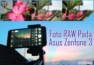 Seputar Foto RAW Pada Asus Zenfone 3