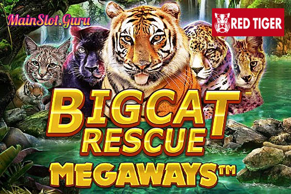 Main Gratis Slot Demo Big Cat Rescue Megaways Red Tiger Gaming
