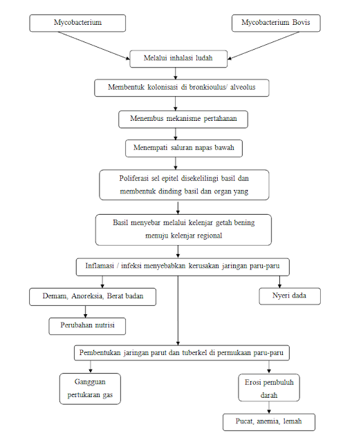 Pathway Tuberkulosis Paru Terbaru