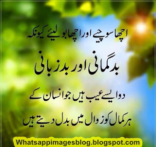 Whatsapp DP Images In Urdu Download