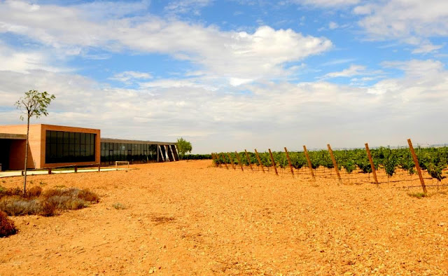 ruedawijnroute, rueda ruta del vino, wijntoerisme castilla y leon, oenotoerisme spanje, wijntoerisme spanje, wijntoerisme rueda, verdejo, rueda, wijtoerisme 