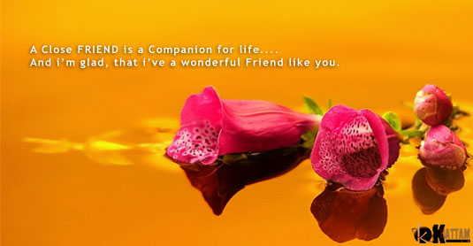 Beautiful Quotes on Friendship