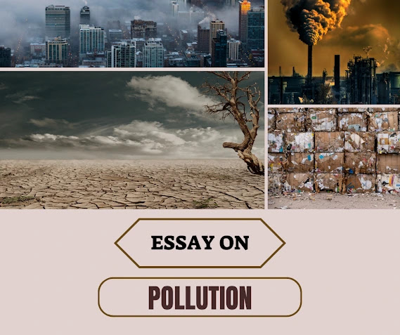 Image displaying an essay discussing the topic of pollution and its effects on the environment