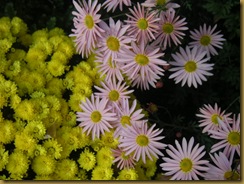 PICT0046
