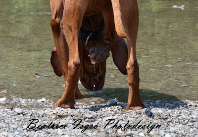 Amelie prüft die Wasserqualität