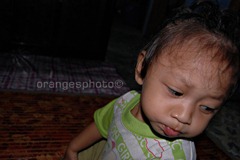 DSC_0474new