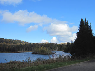 View From Lake Opeongo Road.