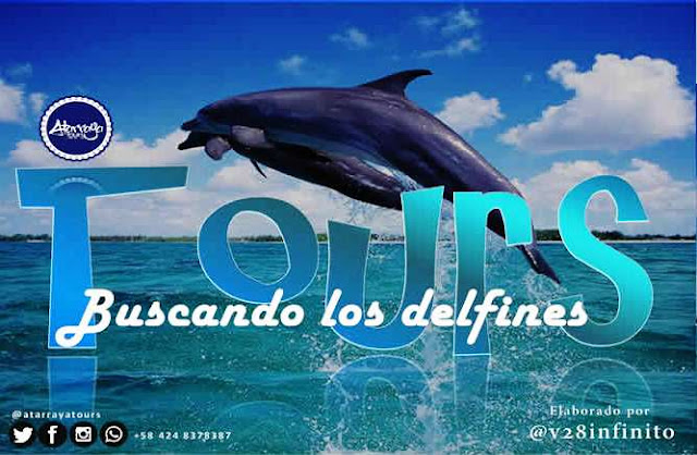 imagen Tours buscando los delfines nueva ruta