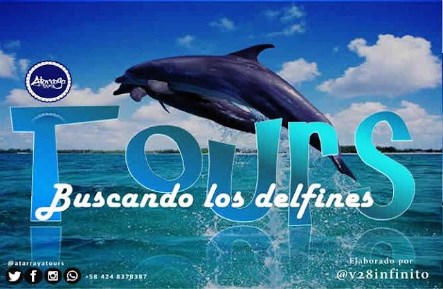 Tours buscando los delfines nueva ruta 