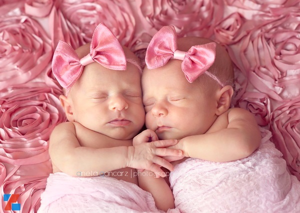 iZdesigner,com - Bộ ảnh tuyệt đẹp của những em bé sinh đôi