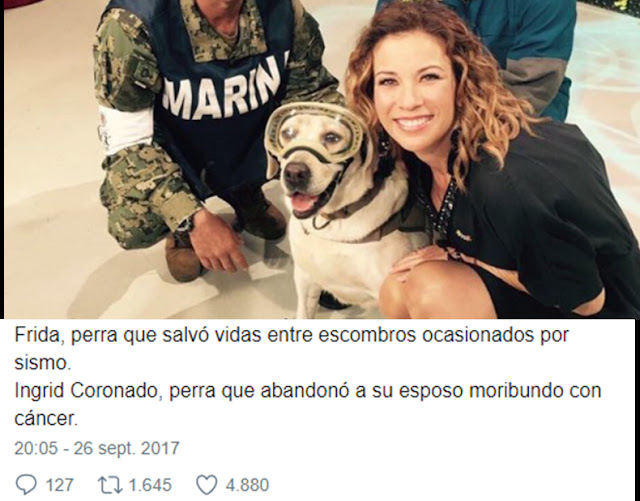 Ingrid Coronado se toma selfie con la perrita Frida y las redes la destrozan   