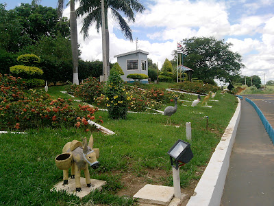 Junqueirópolis Gospel News: CONHECENDO UMA NOVA FLORA RICA-SP