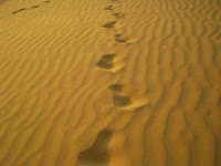 digital transformation as a quest - footprints in a desert