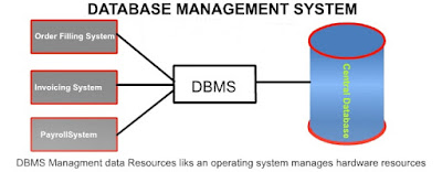 about dbms