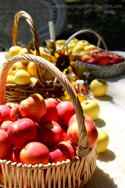 Fall apple orchard table