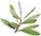 clip_image00813