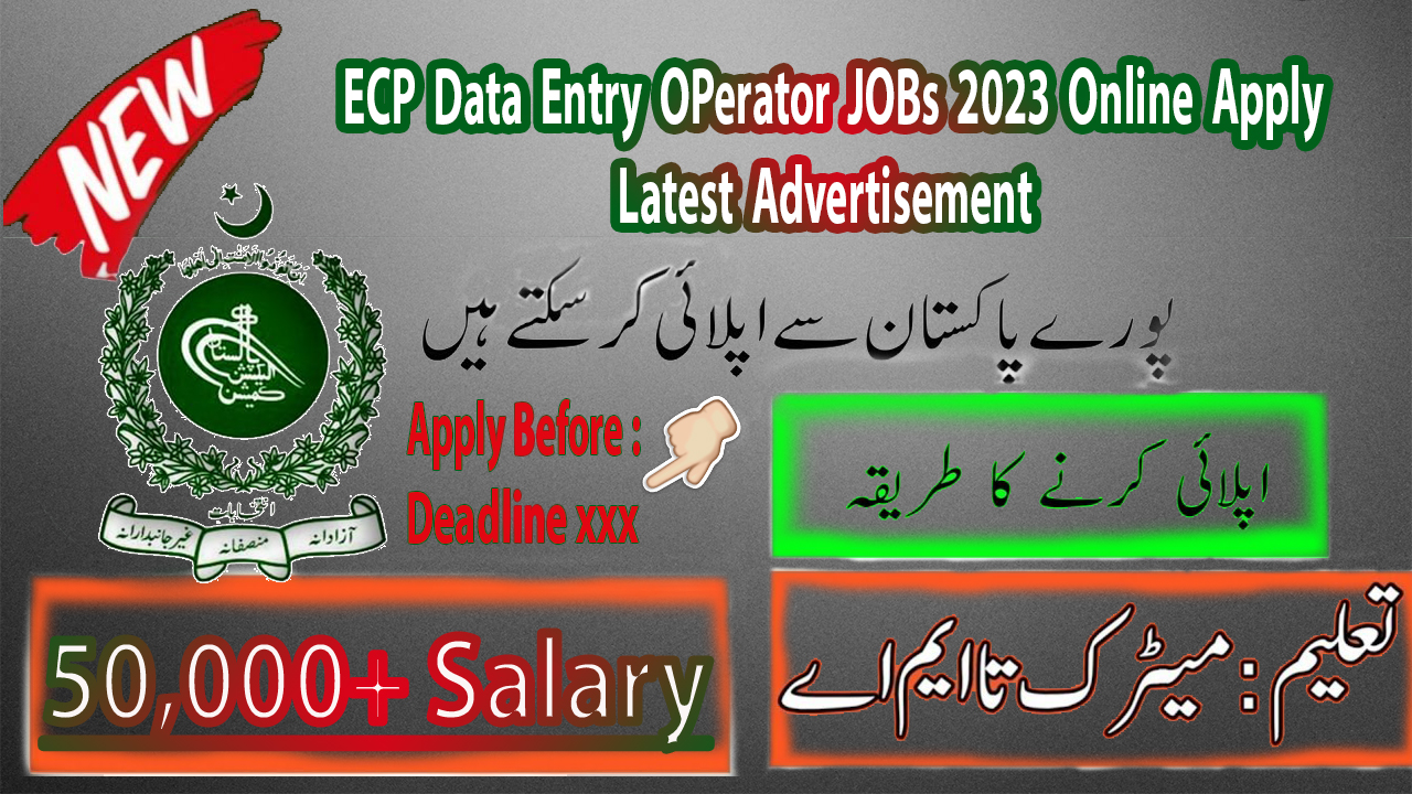 ECP Data Entry Operatro Jobs