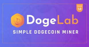 is dogelab.cash safe
