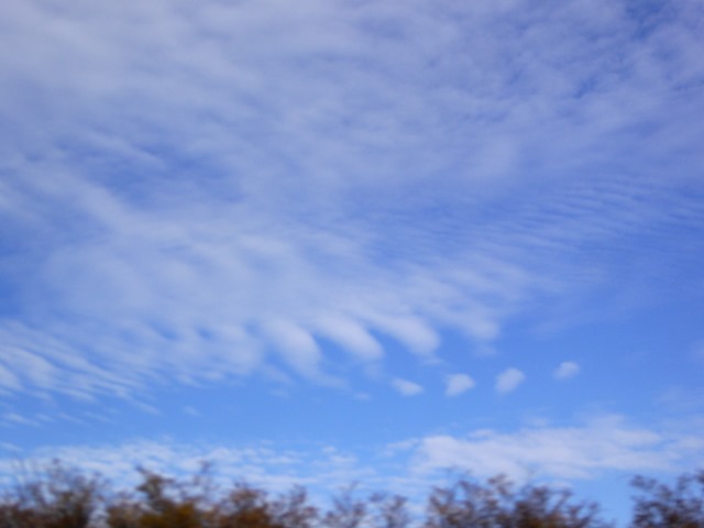 P1190136
