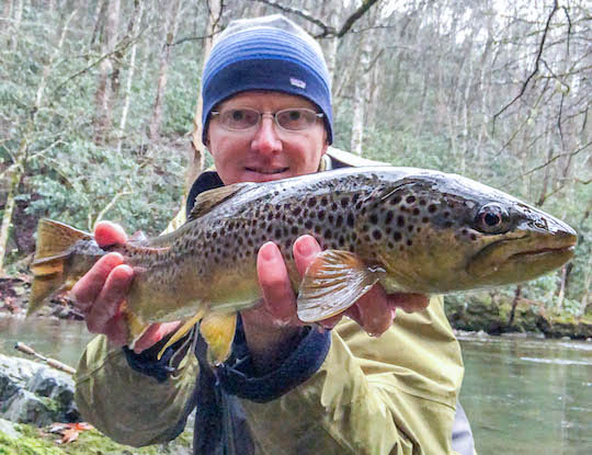 One more look at the big female brown trout before release